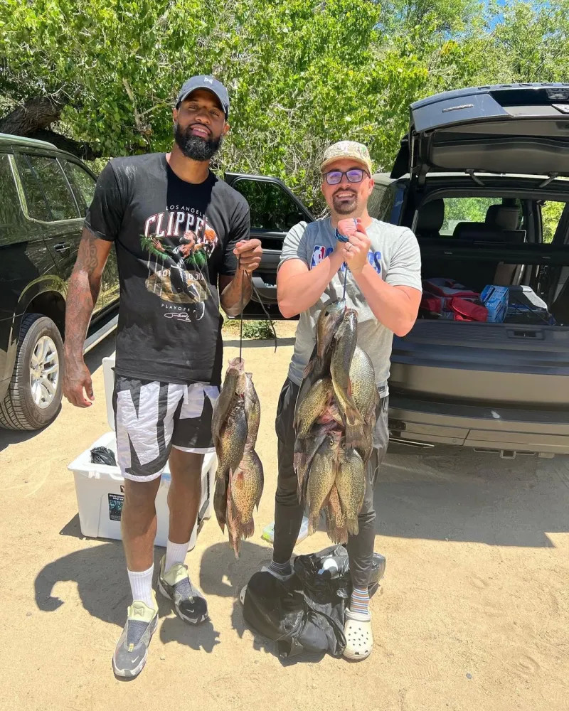 节奏控制 节奏控制